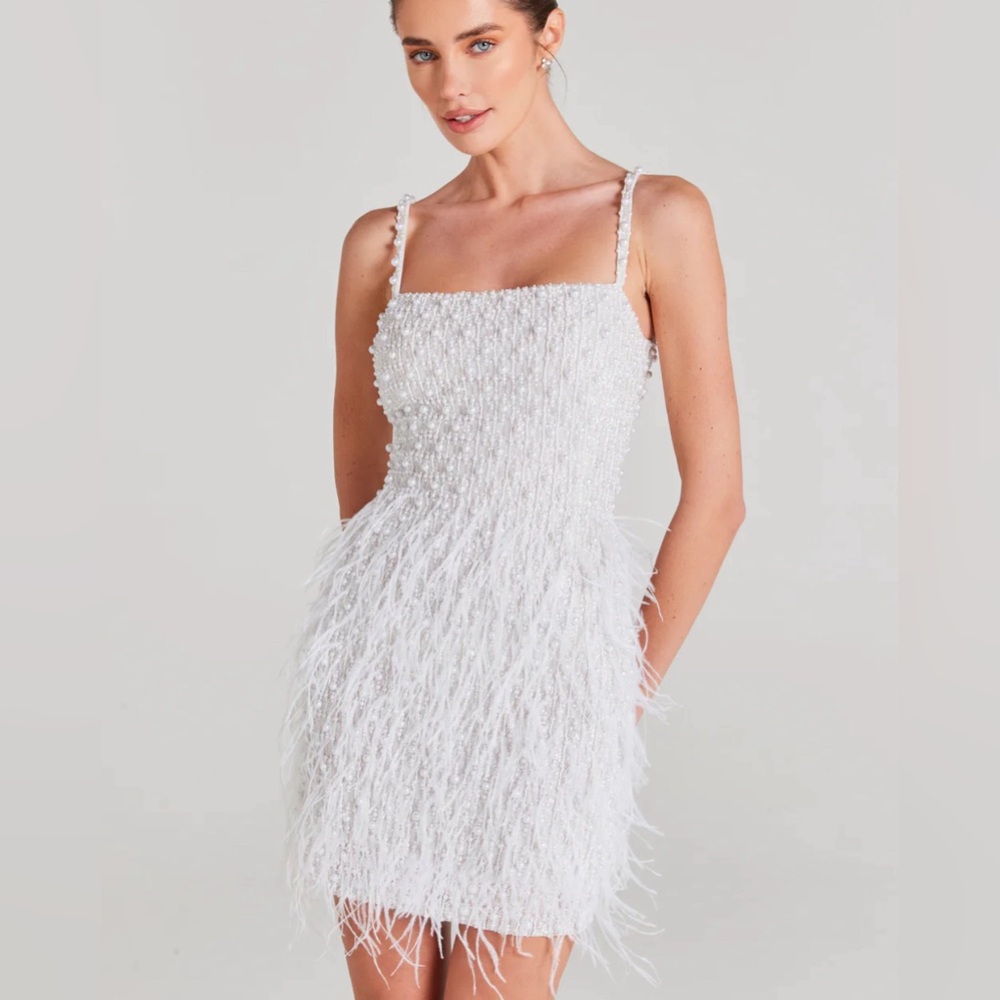 Nadine Merabi Carrie dress size small